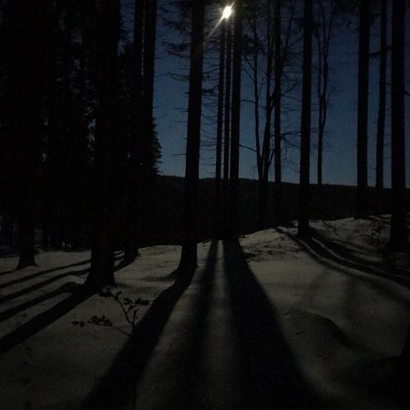 Dziewiecsil-Domek W Gorach Duszniki Zdrój Buitenkant foto